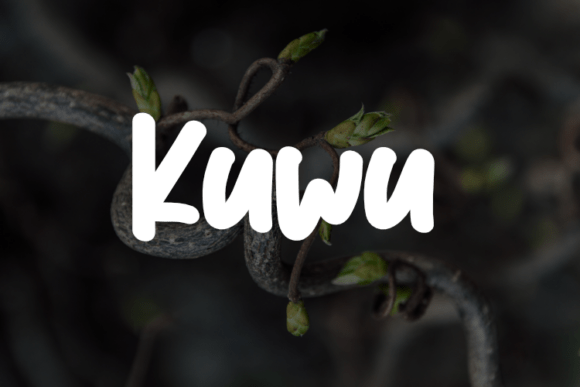 Kuwu: A Modern Script Font for Designers