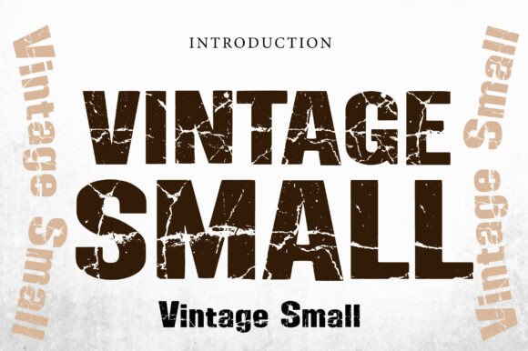 Vintage Small Font for Business Branding